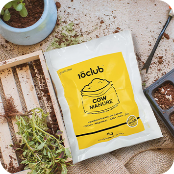 Gardening Essentials