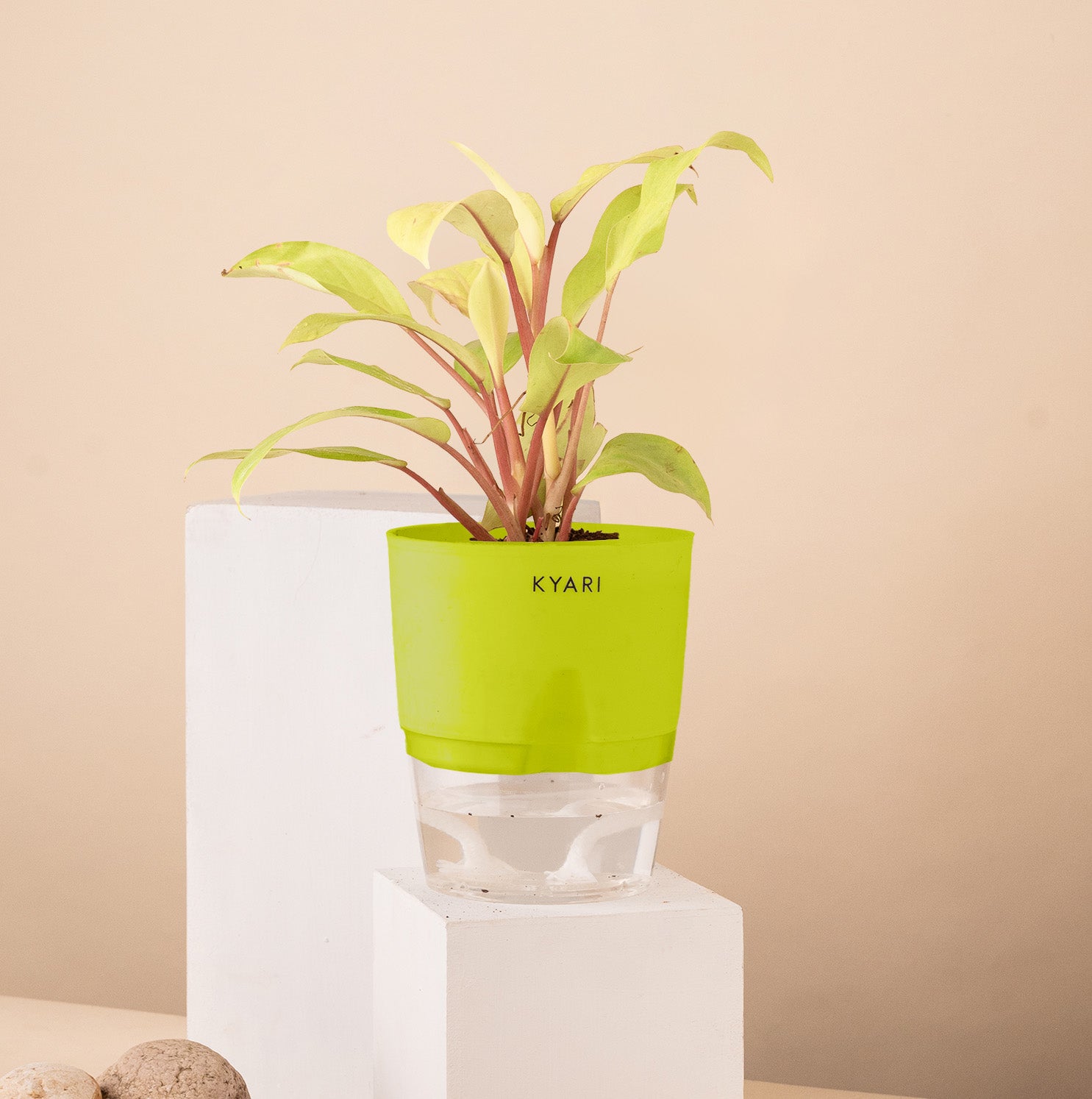 Variant image