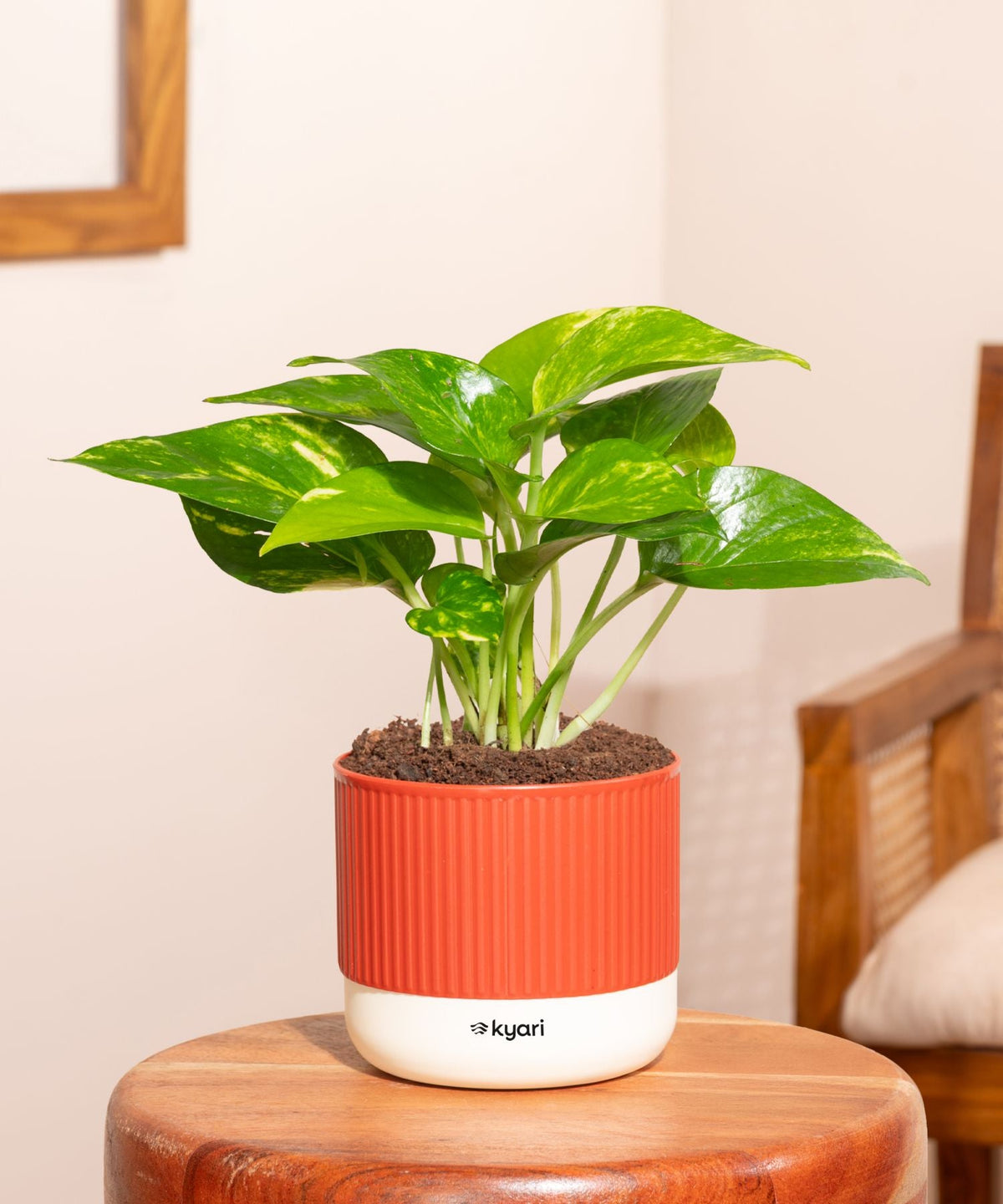 Variant image