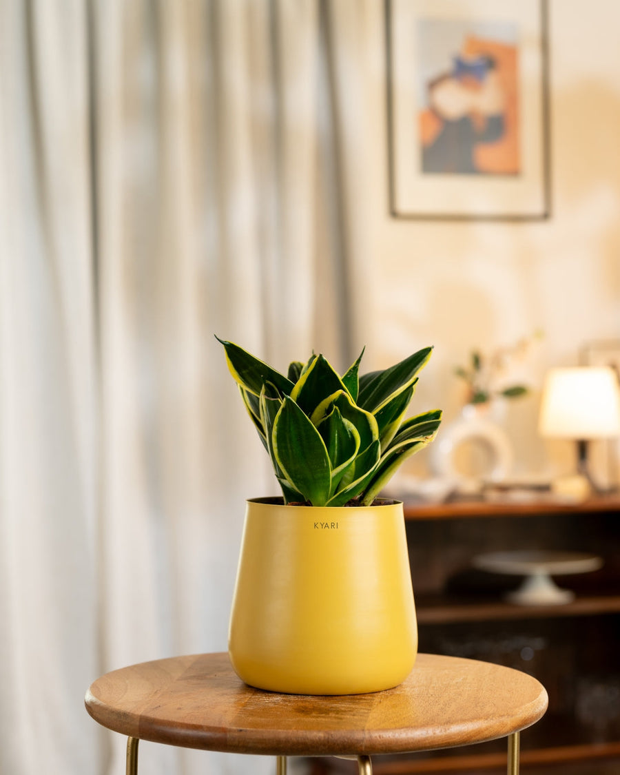 Variant image