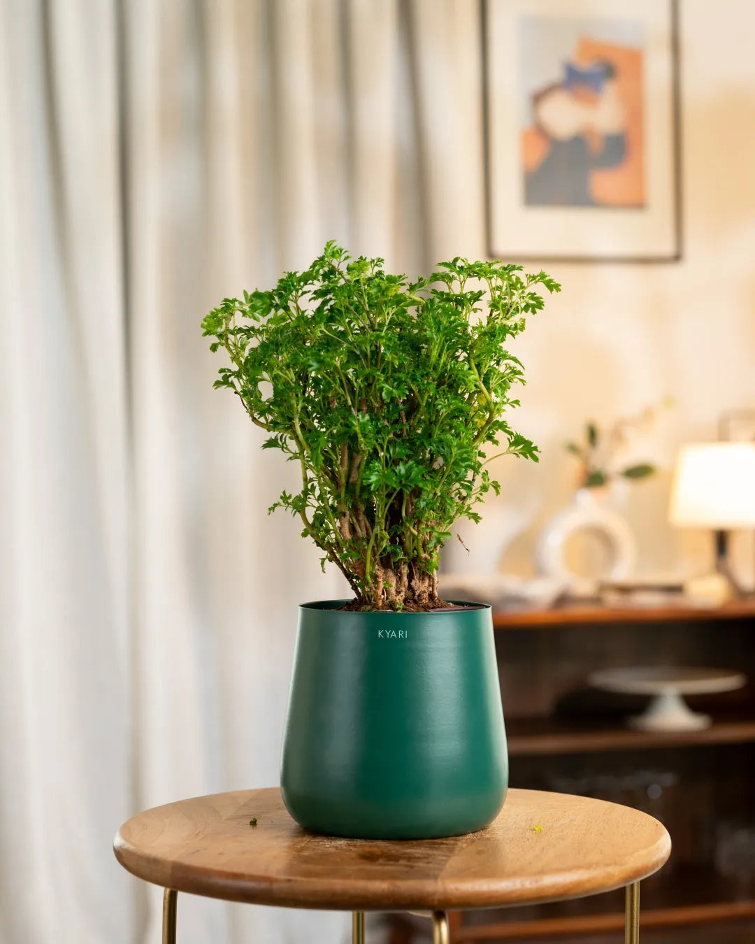 Variant image