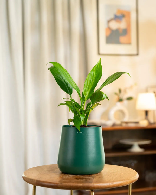 Variant image