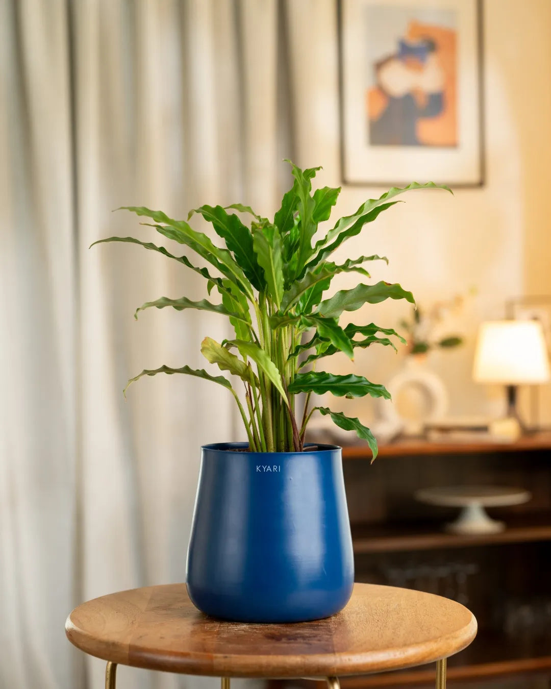 Variant image