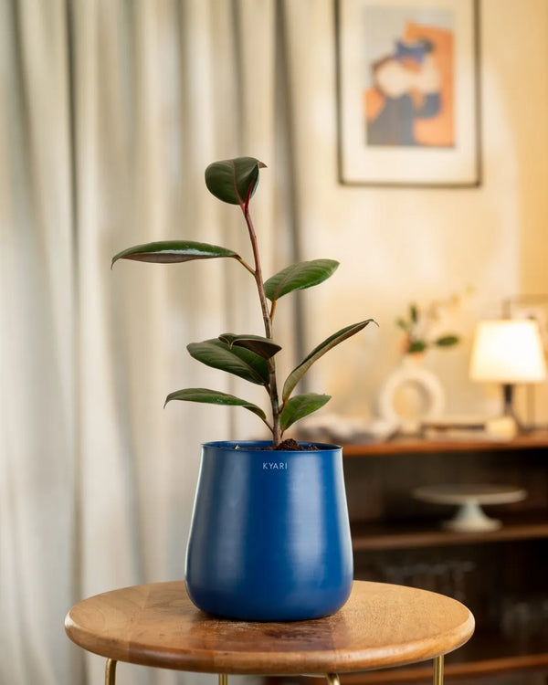Variant image