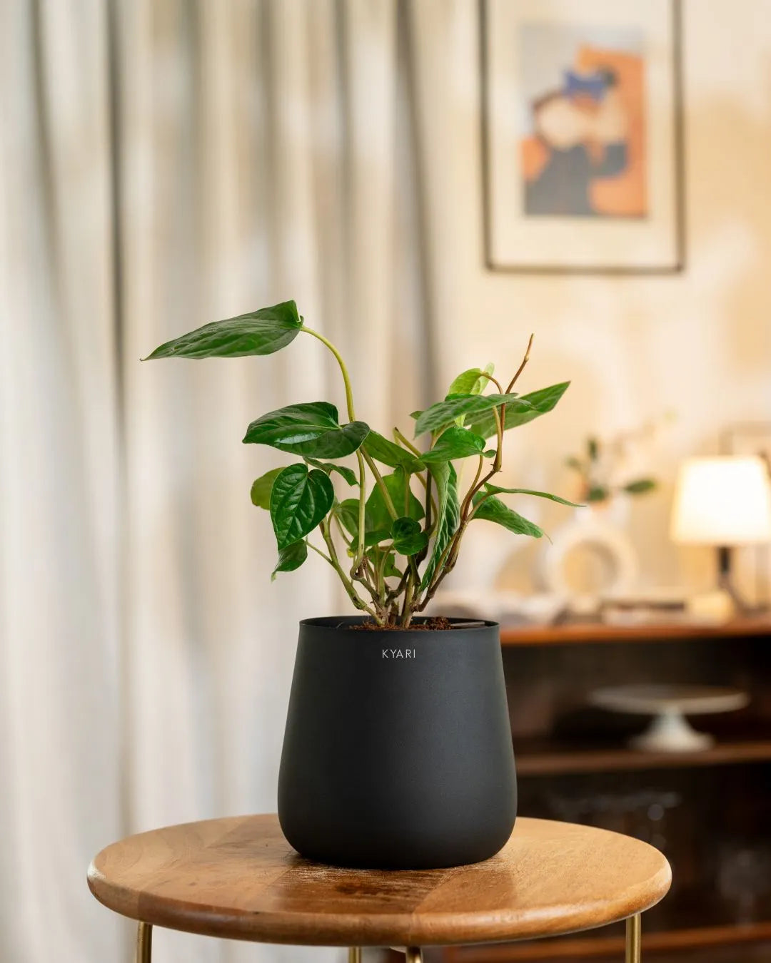 Variant image