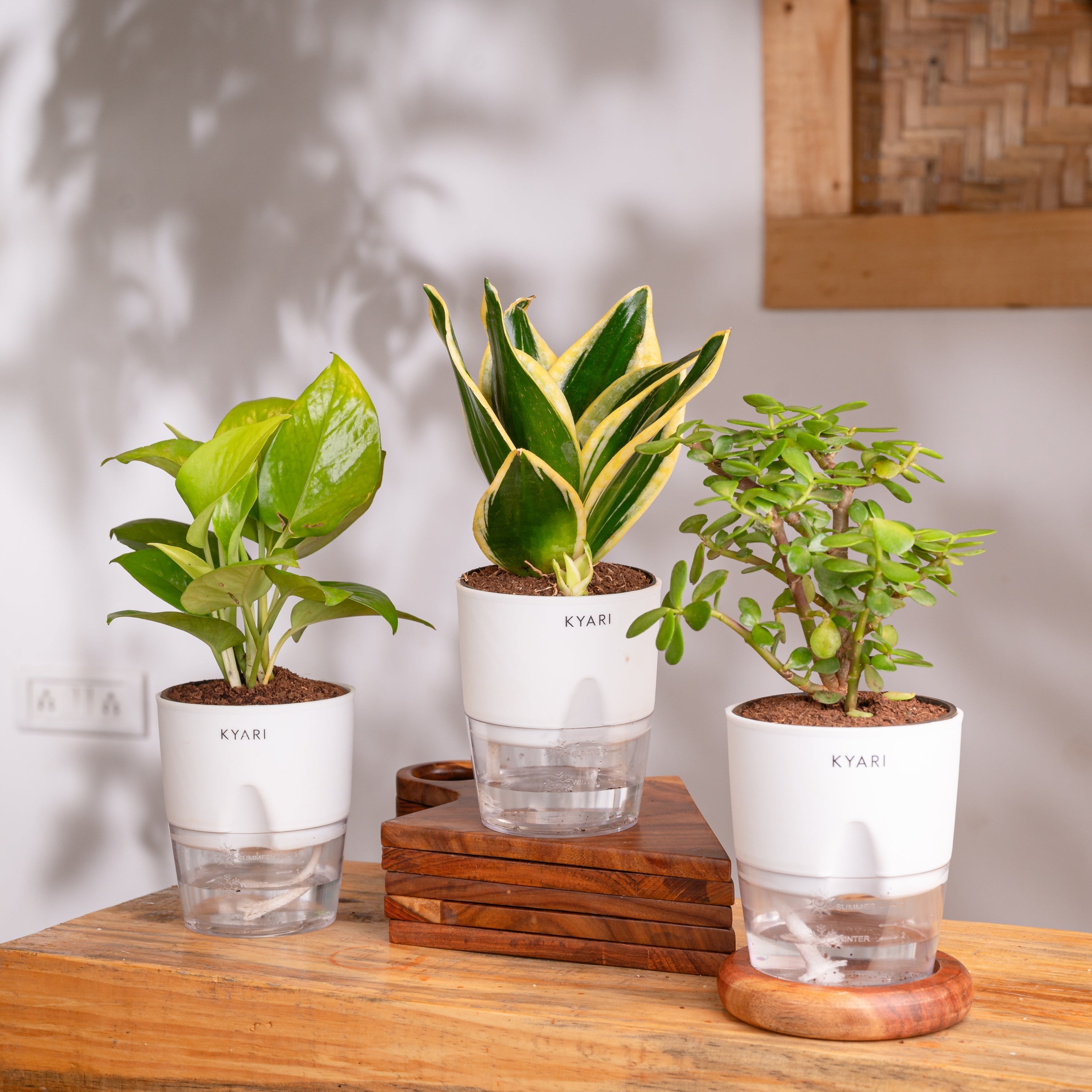 Variant image