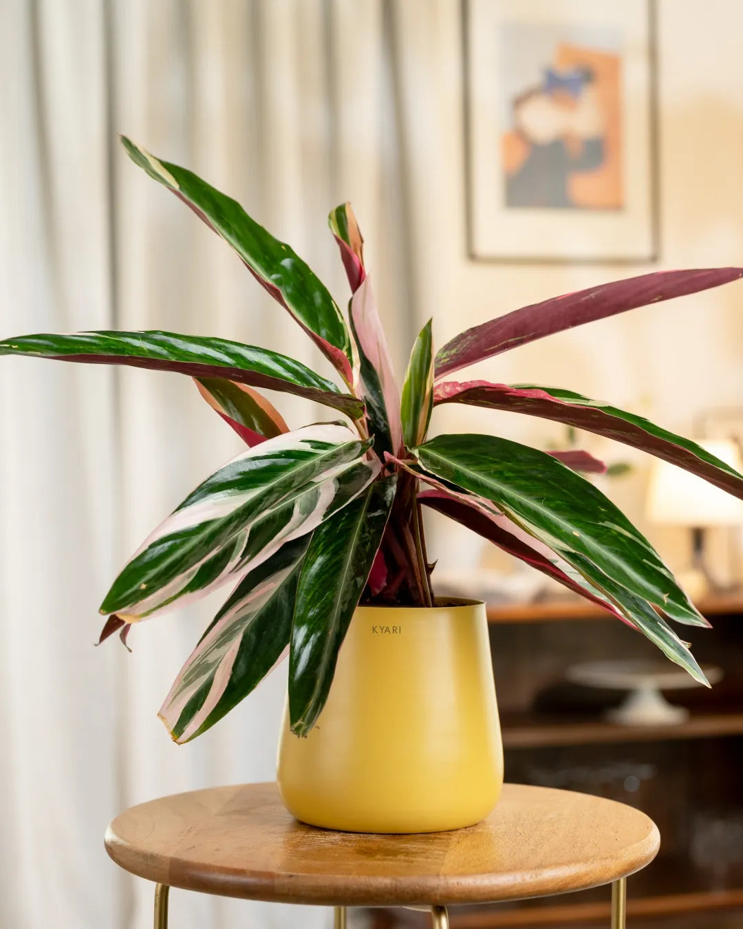 Variant image