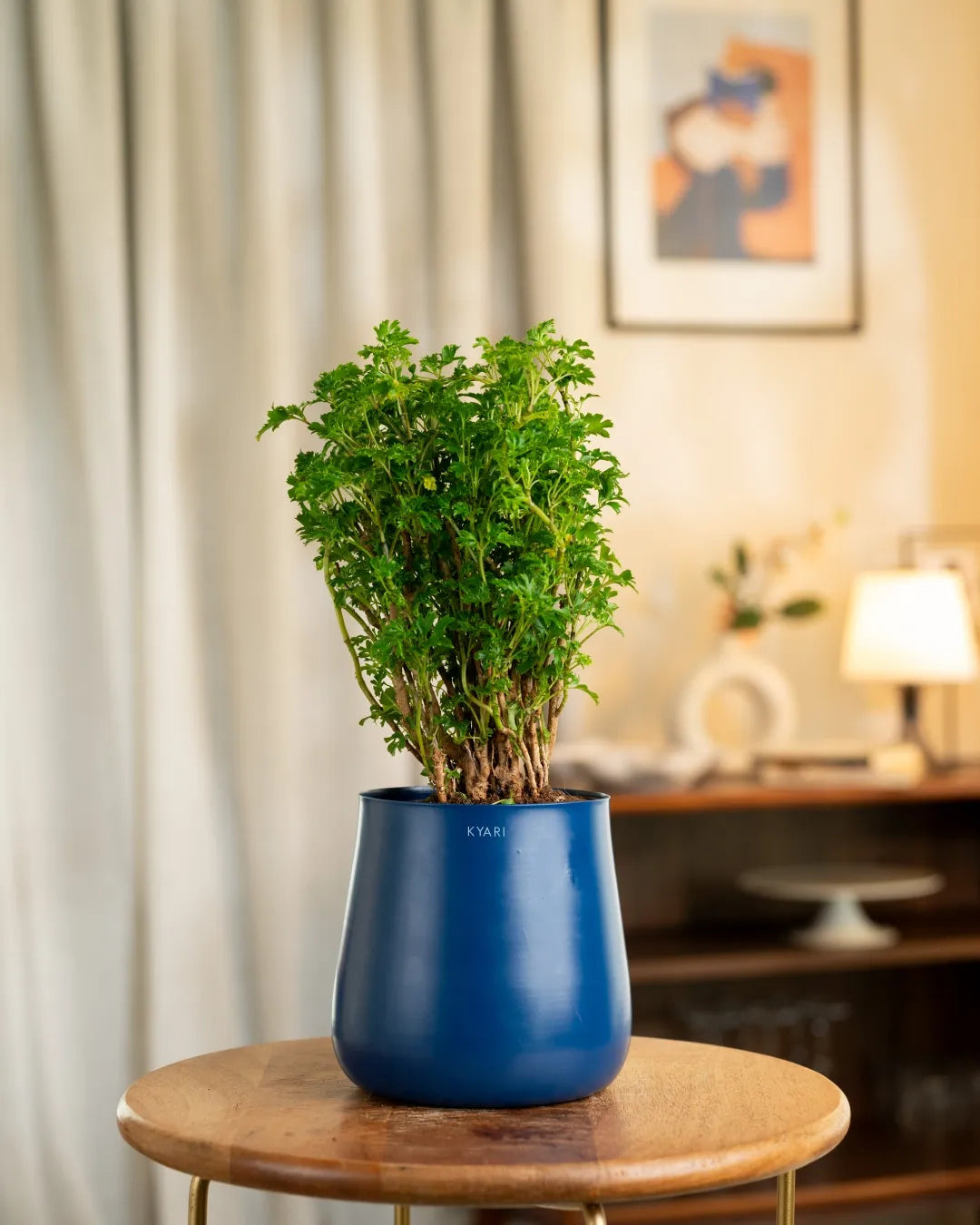 Variant image