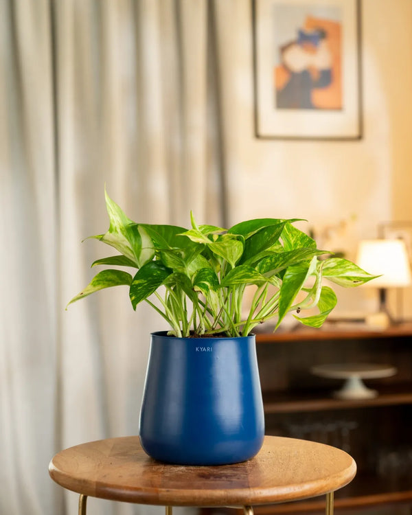 Variant image