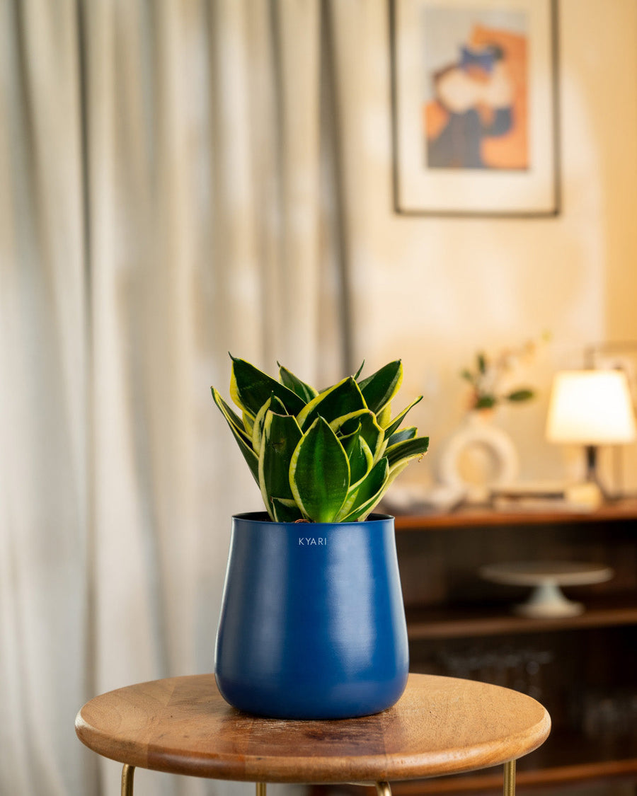 Variant image