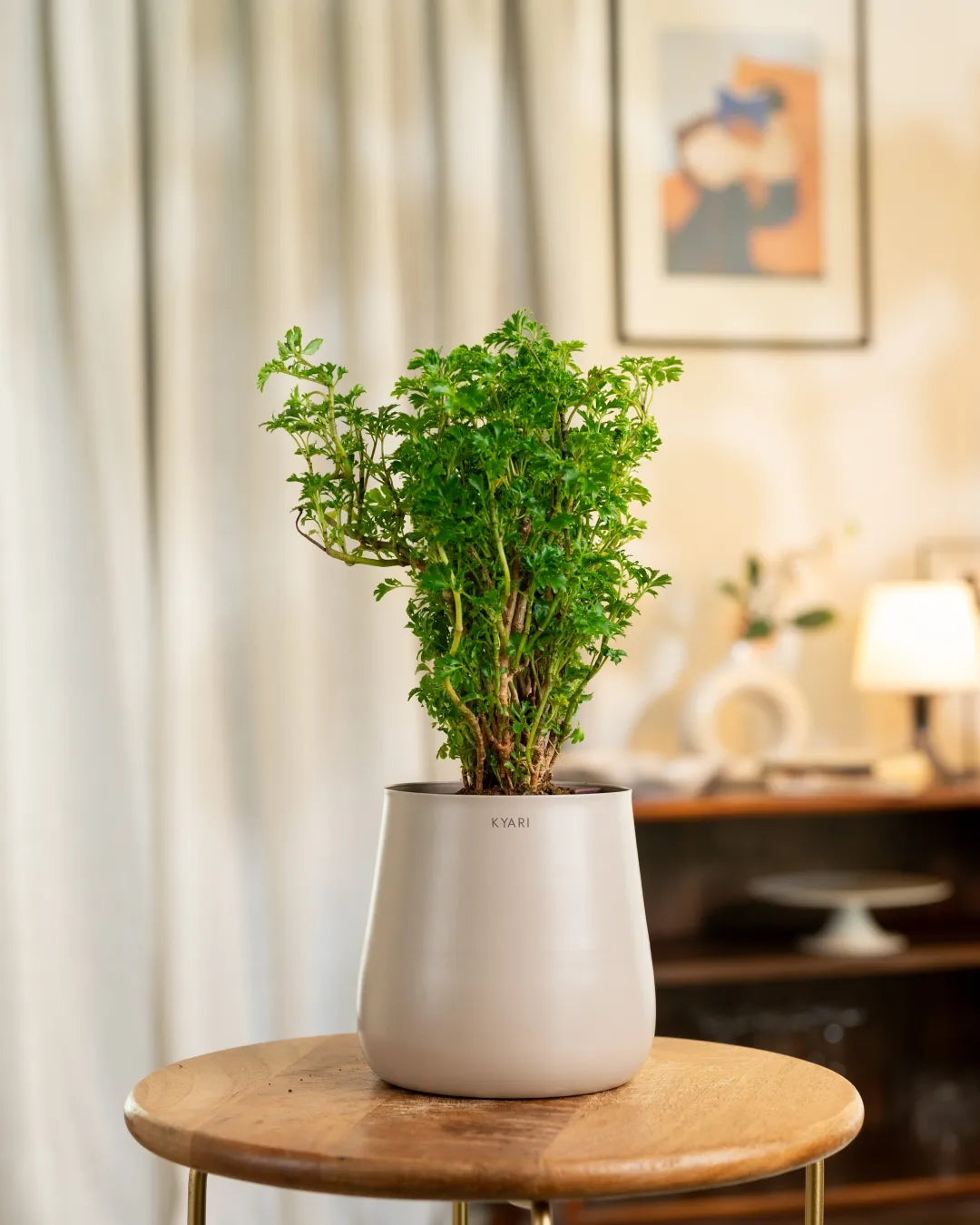 Variant image
