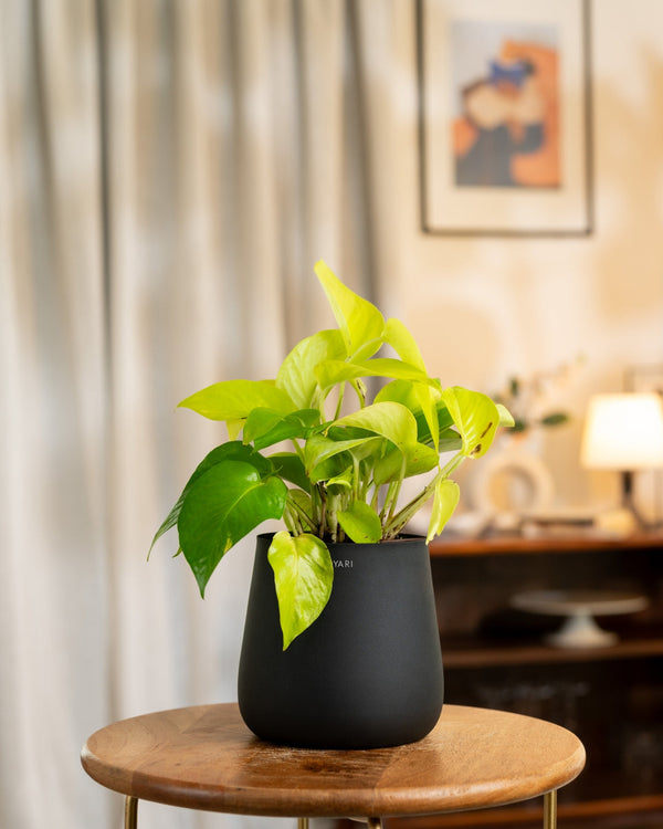 Variant image
