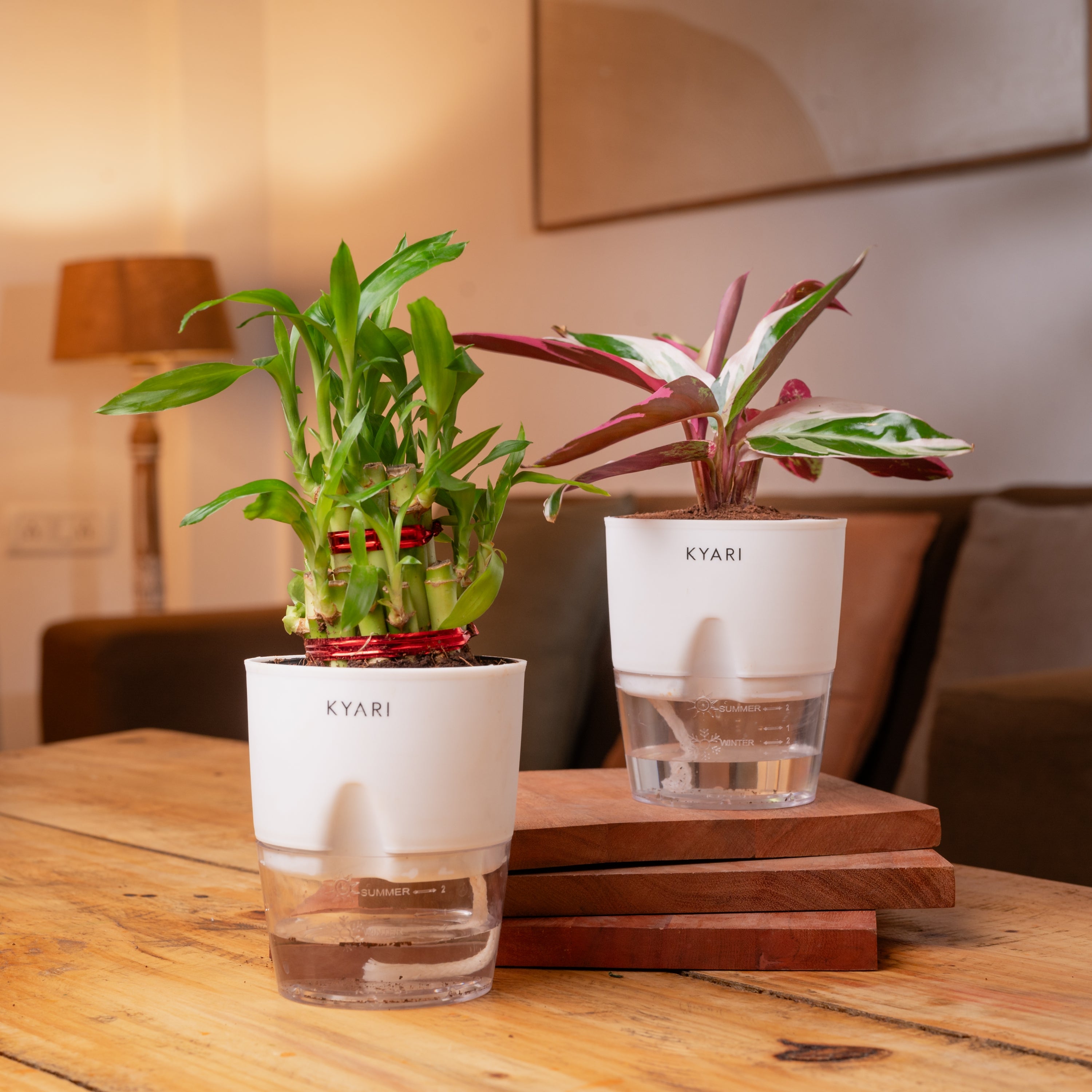 Variant image