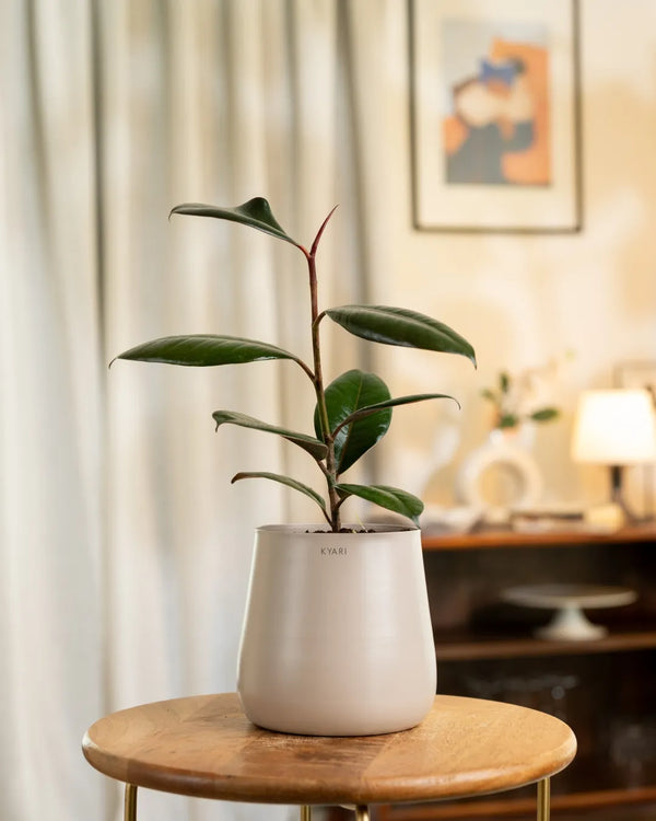 Variant image