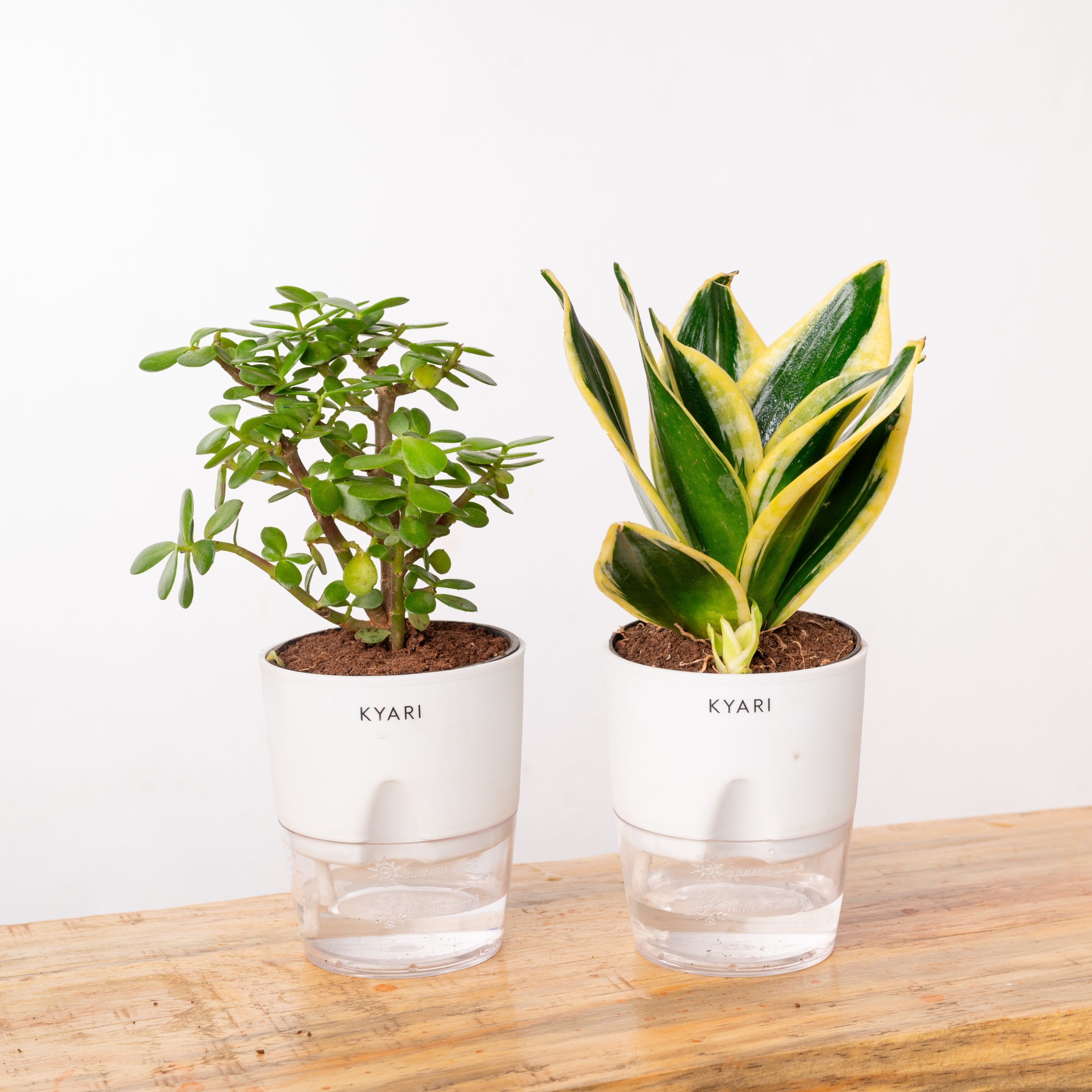Variant image