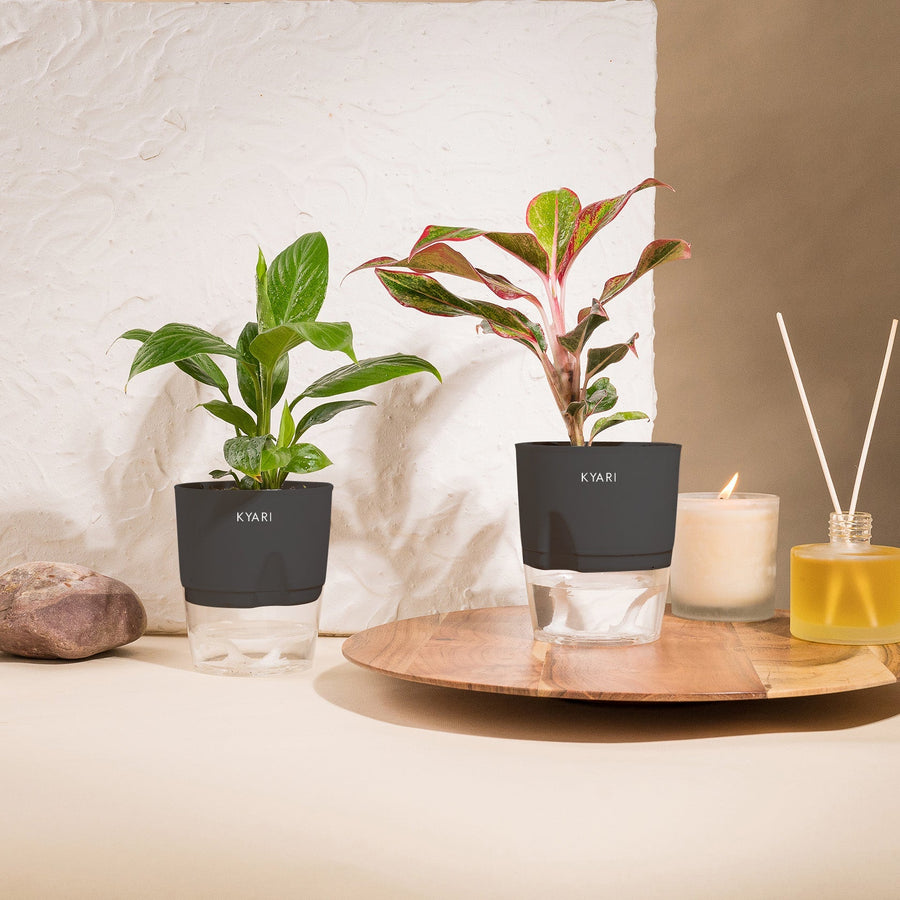 Variant image