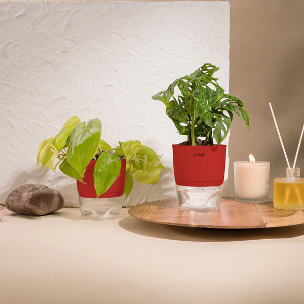 Variant image