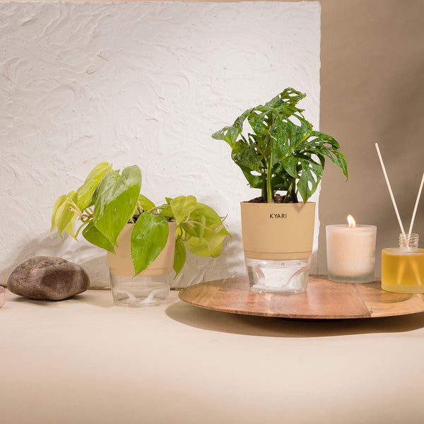 Variant image