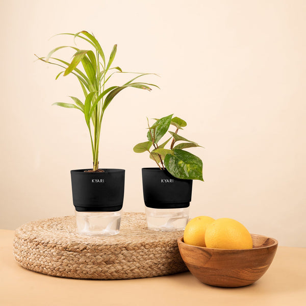 Variant image