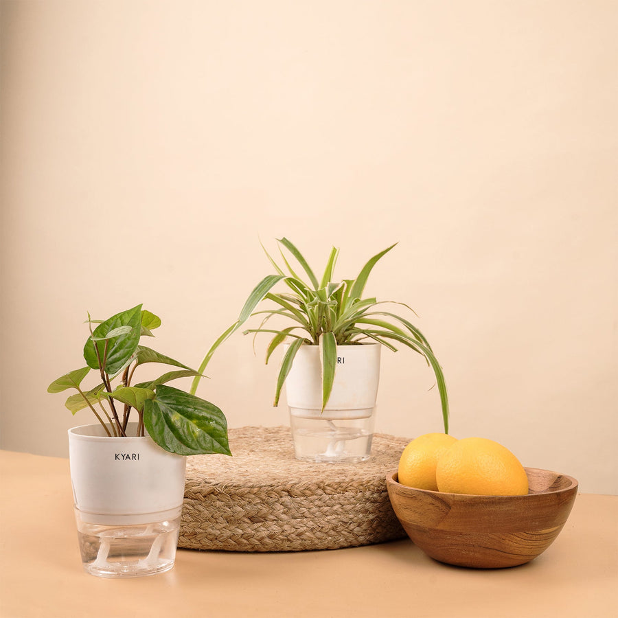 Variant image