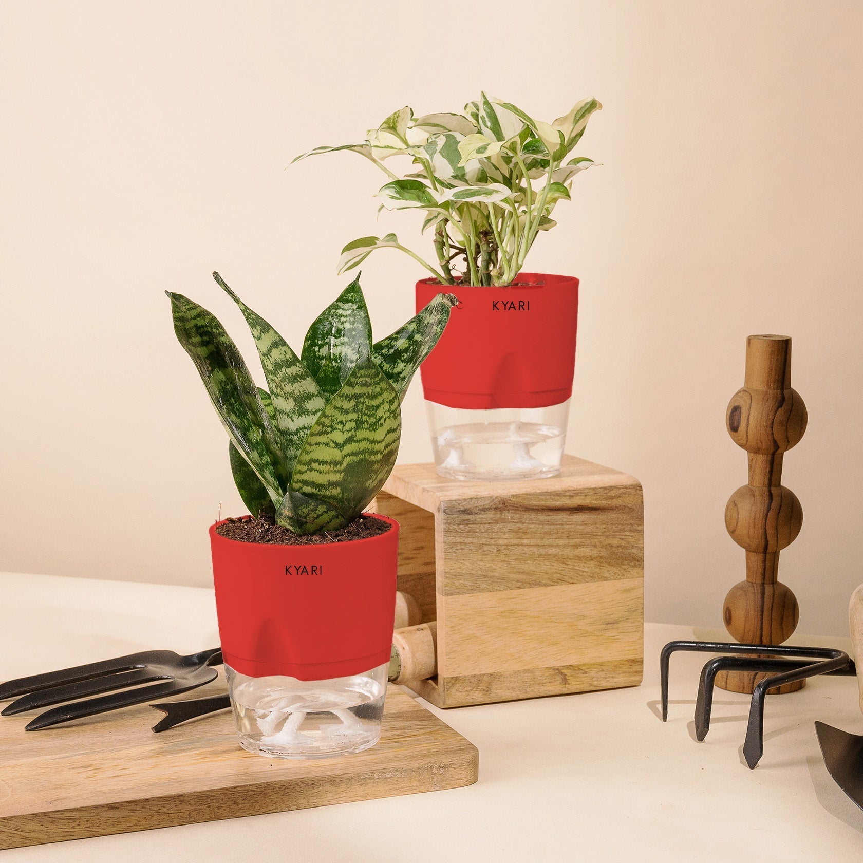 Variant image
