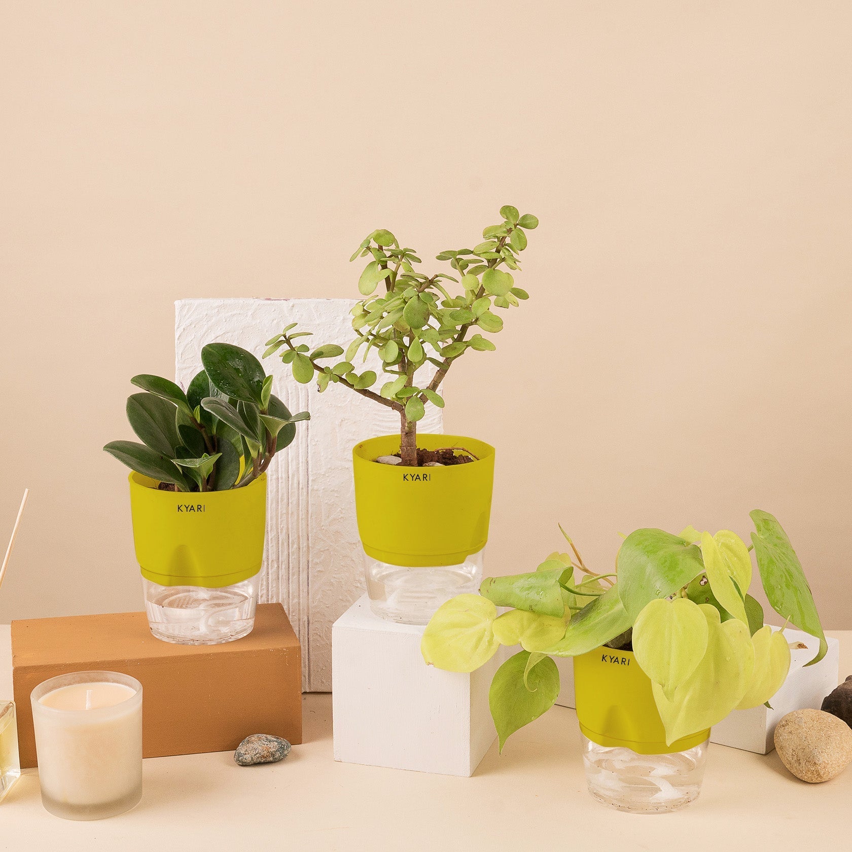 Variant image
