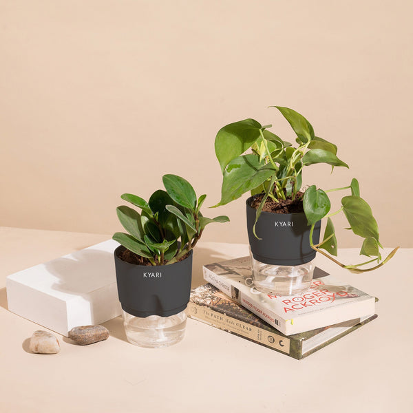 Variant image
