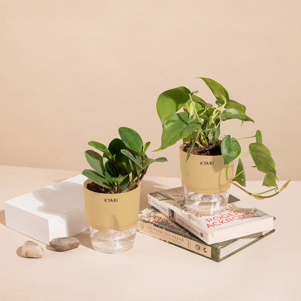 Variant image