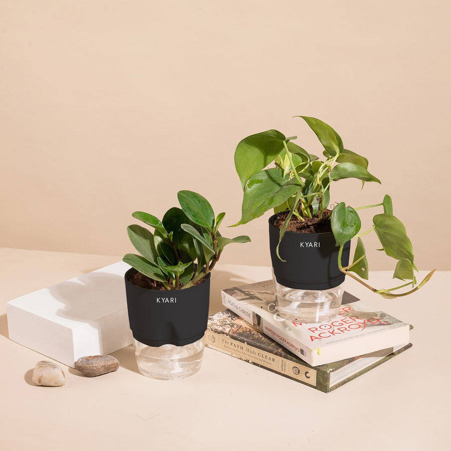 Variant image