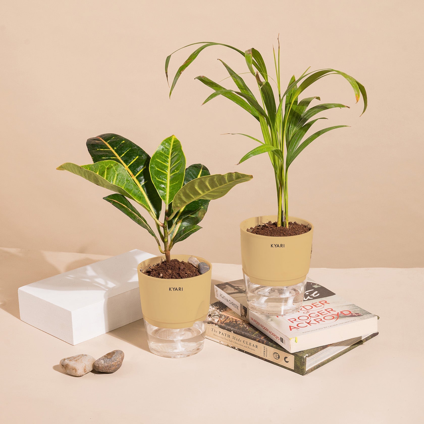 Variant image