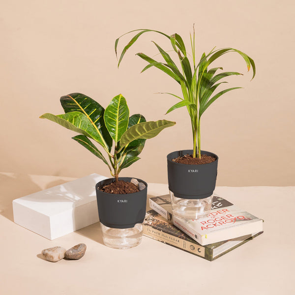 Variant image