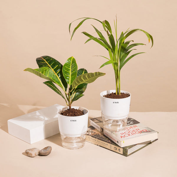 Variant image