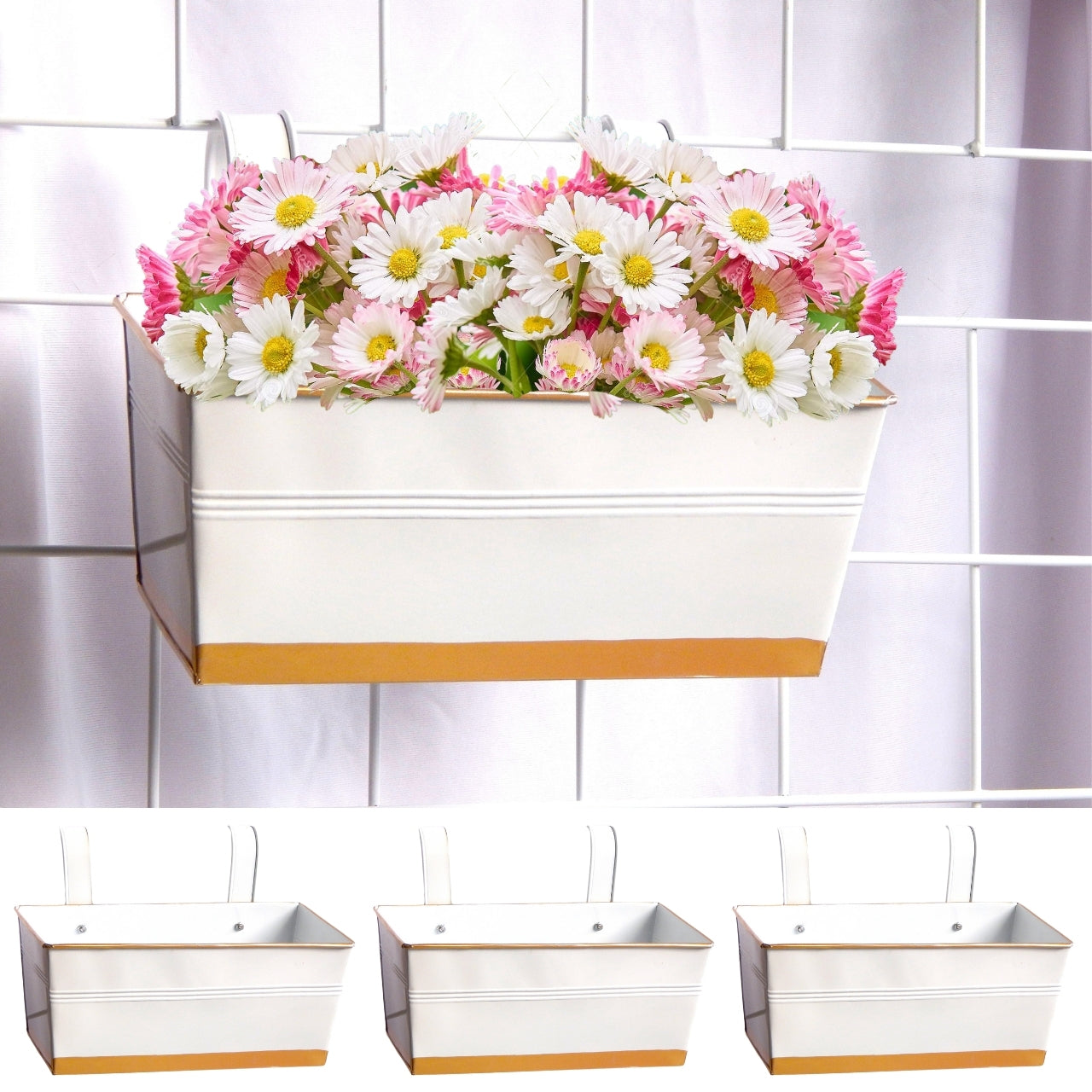 Variant image
