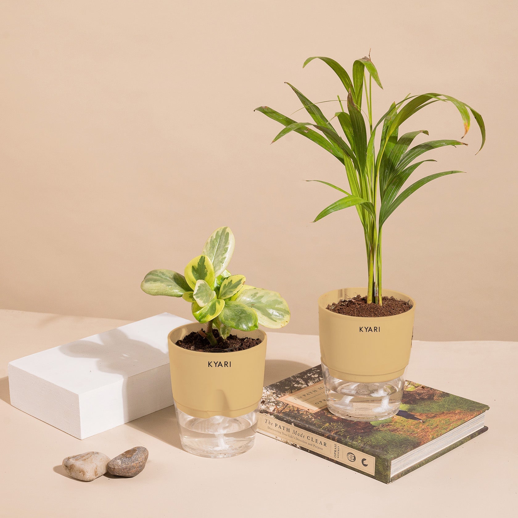 Variant image