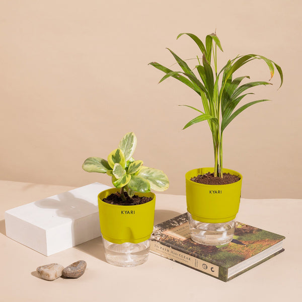 Variant image