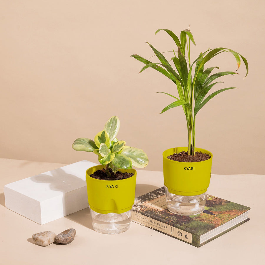 Variant image