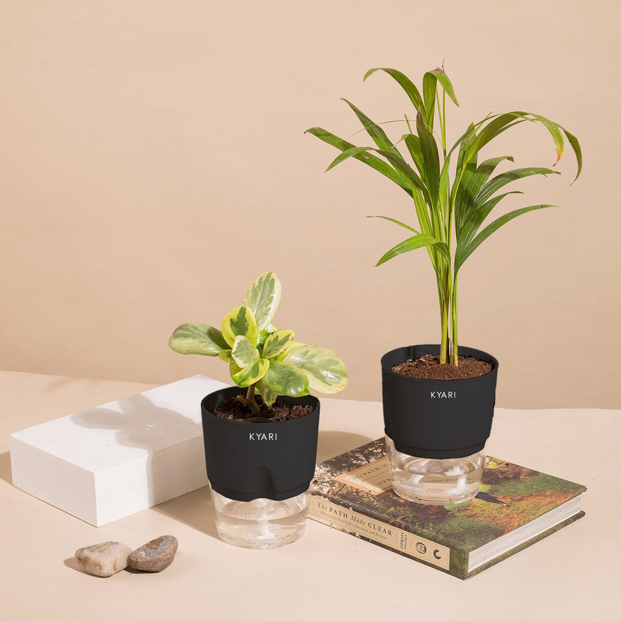 Variant image
