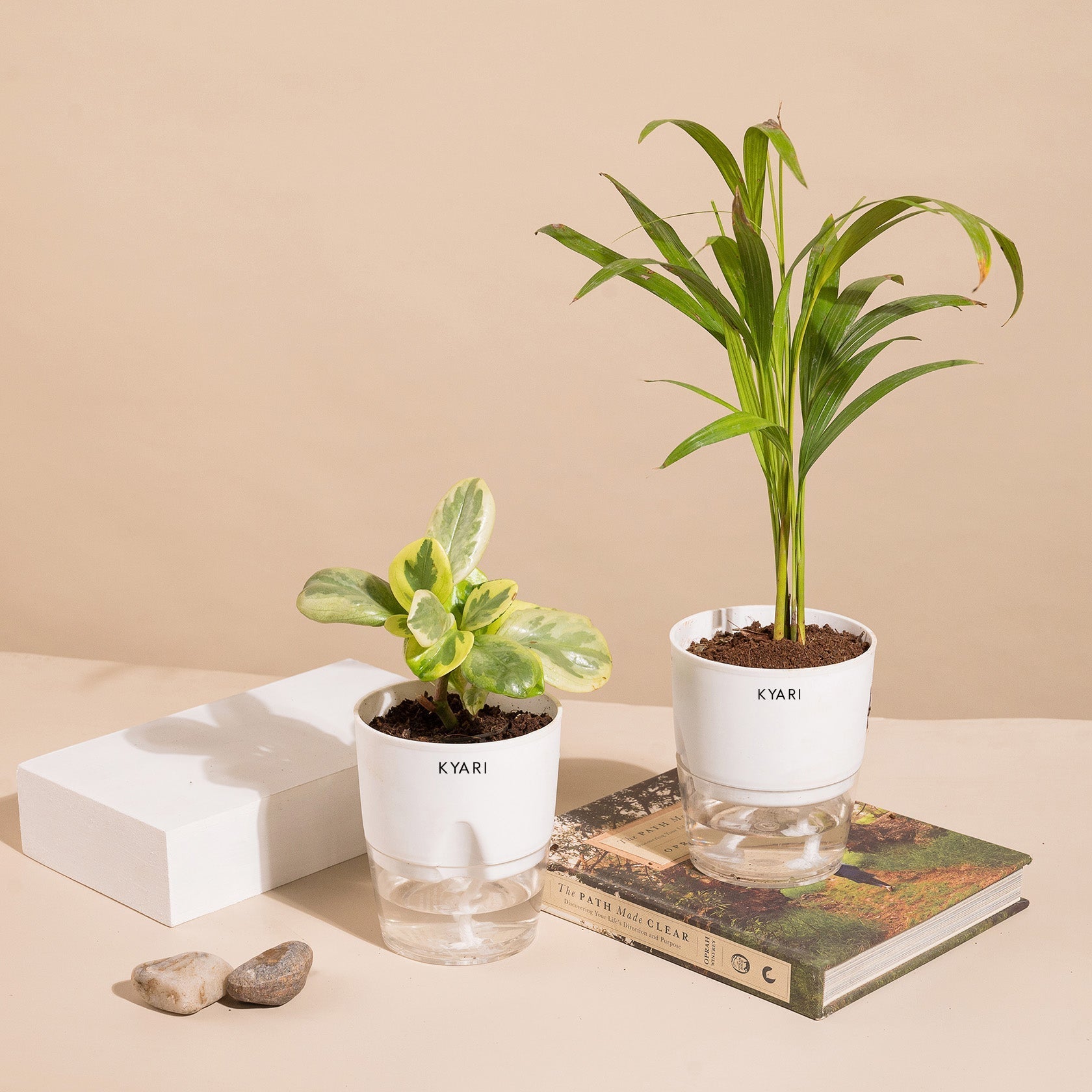 Variant image
