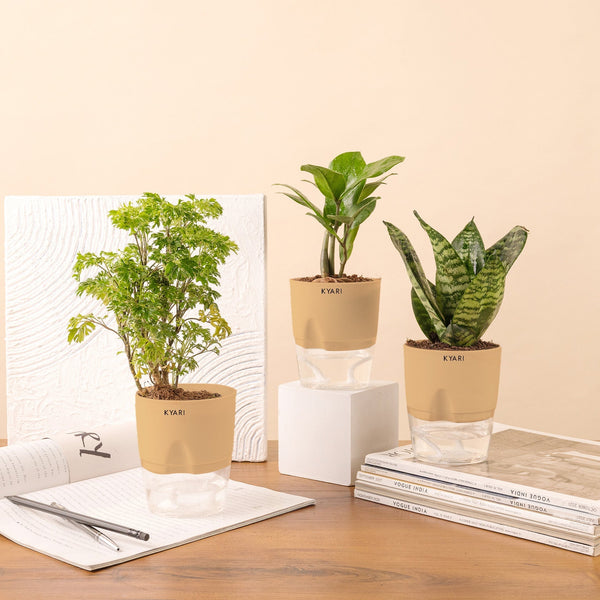 Variant image