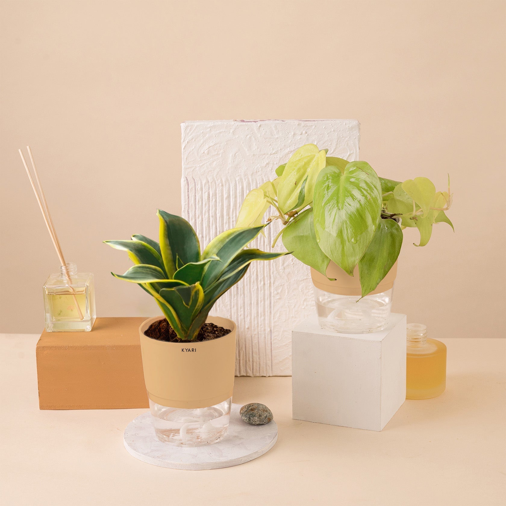 Variant image