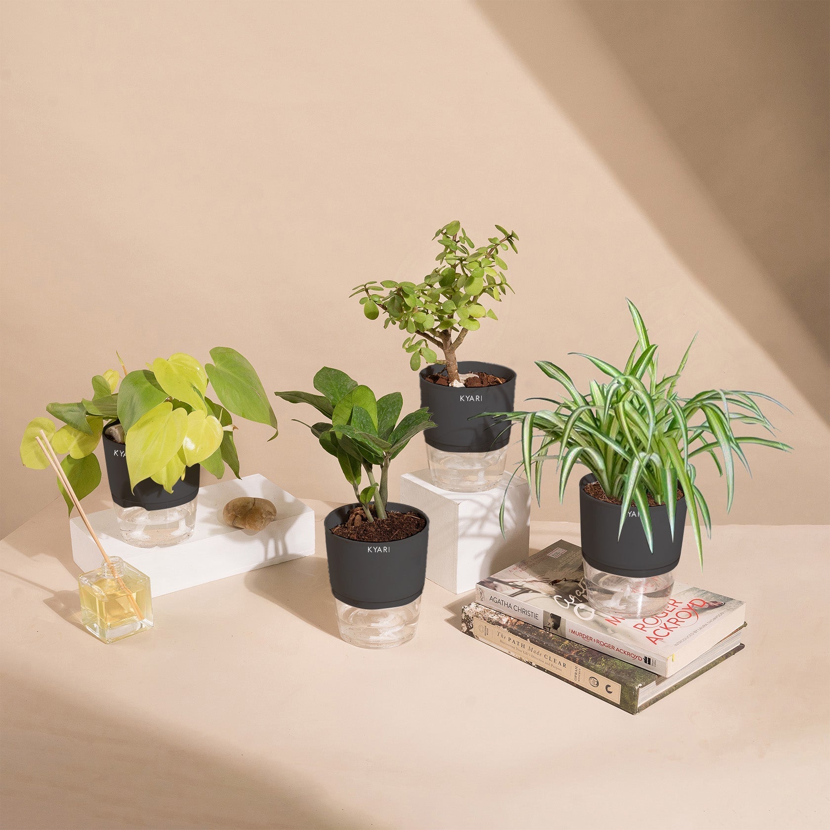 Variant image