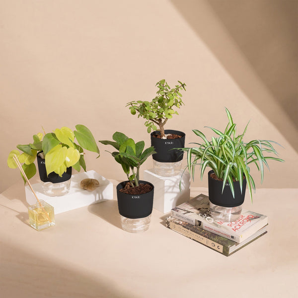 Variant image