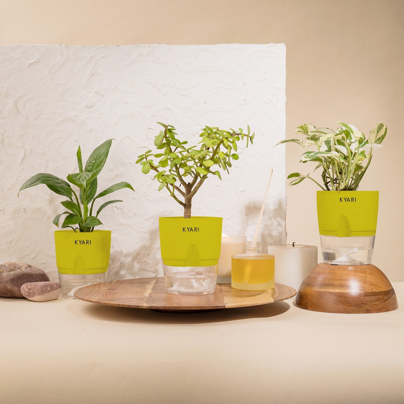 Variant image