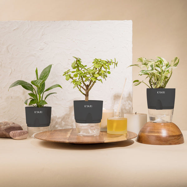 Variant image