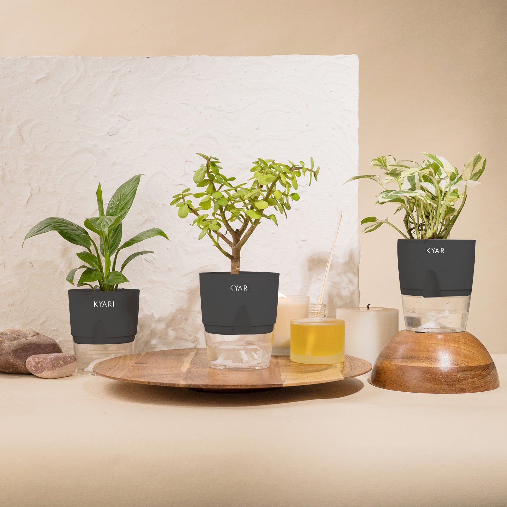 Variant image