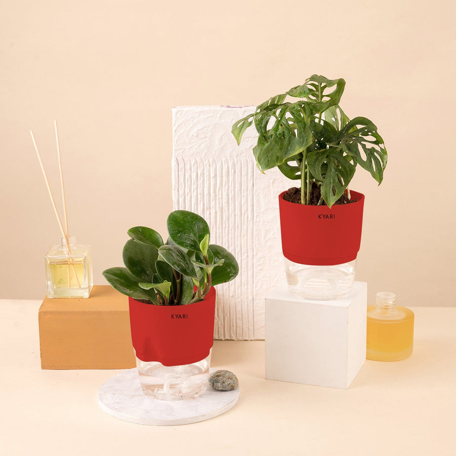 Variant image