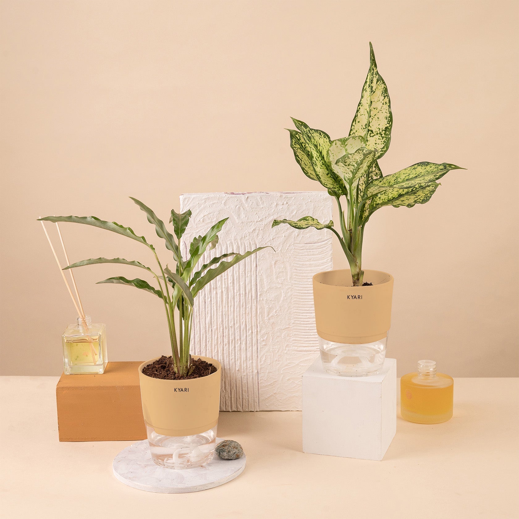 Variant image