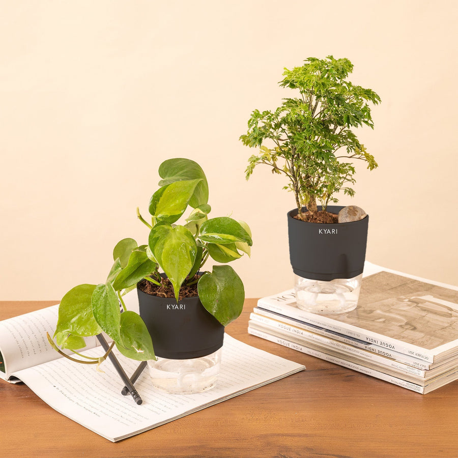 Variant image