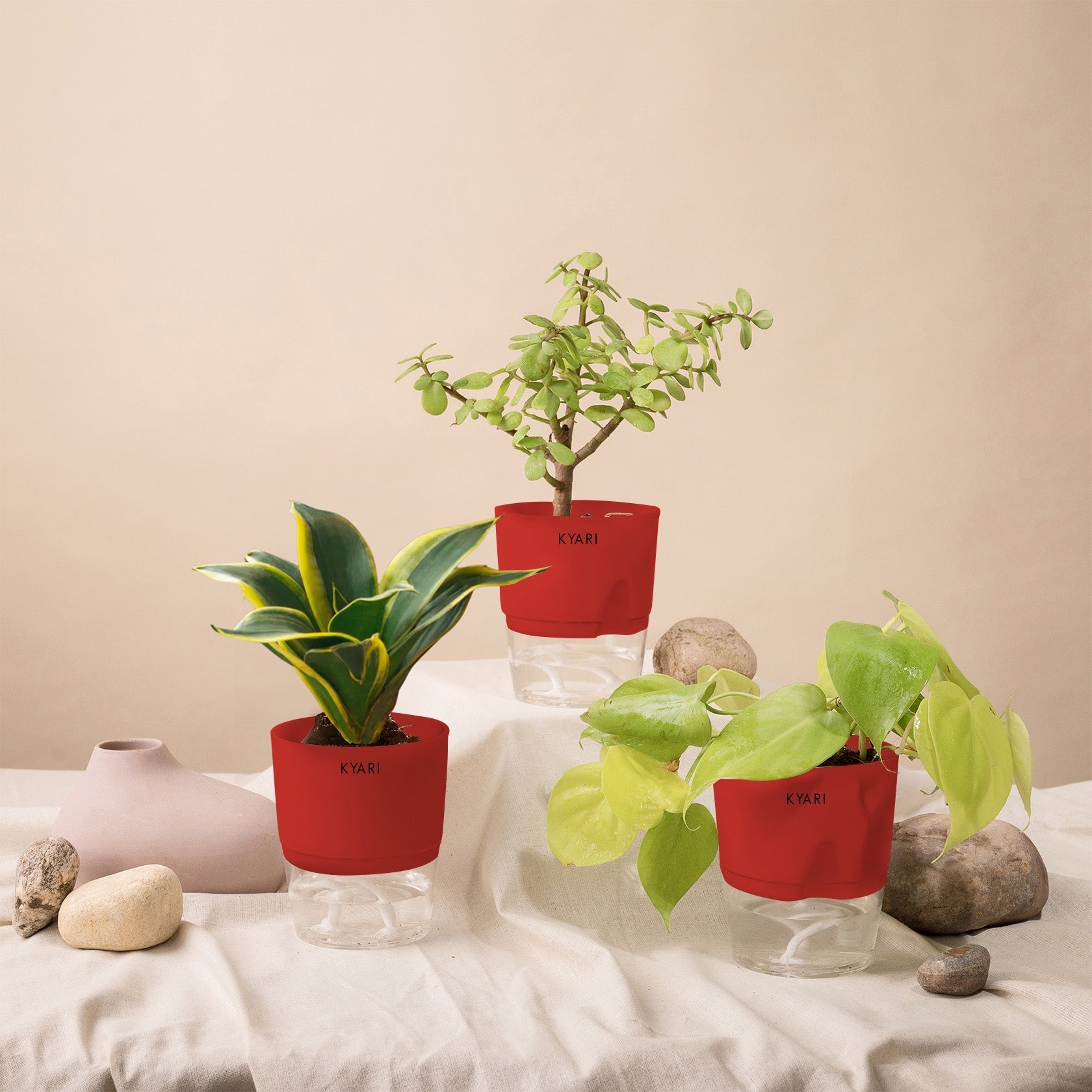 Variant image