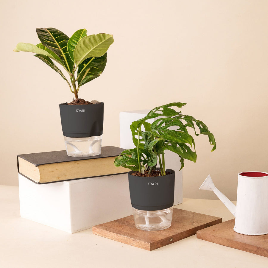 Variant image